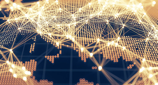 Training network (1)